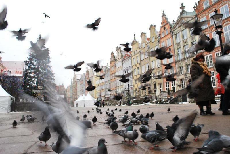 Słoneczne Południe * Gdańsk